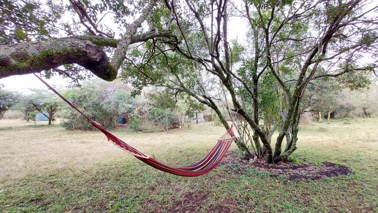 Greenwood Safari Camp Talek Exterior foto
